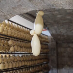 Scamorza