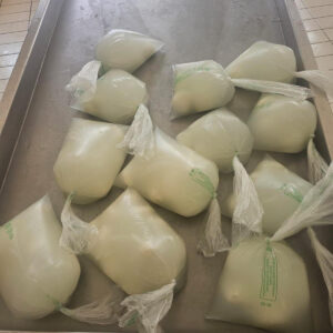 Mozzarella
