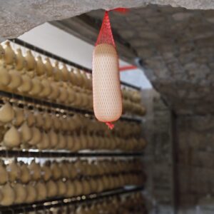 Galbanino